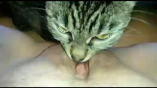 Bokep ws abg jilatin memeknya pakai kucing